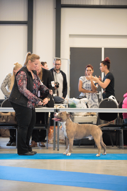 Bo4I0481 31306140466 O