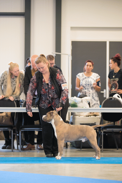 Bo4I0482 31342272255 O