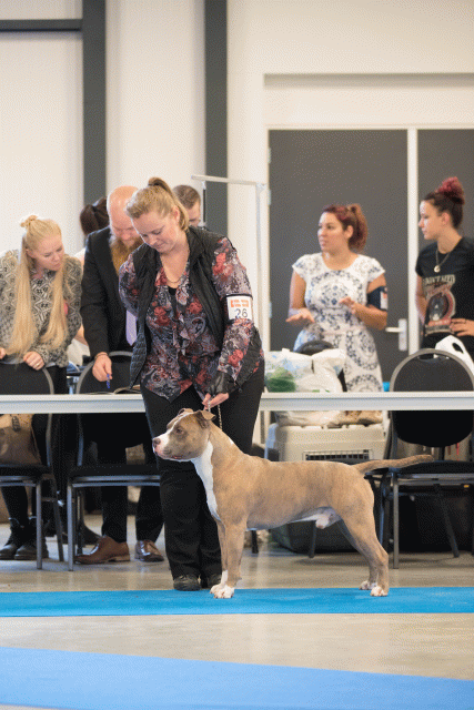 Bo4I0483 31306140256 O