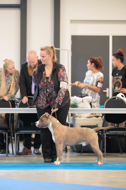 Bo4I0484 31342272065 O