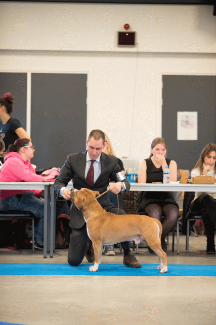 Bo4I0485 31342271985 O