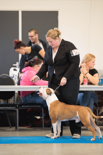 Bo4I0487 31306139776 O