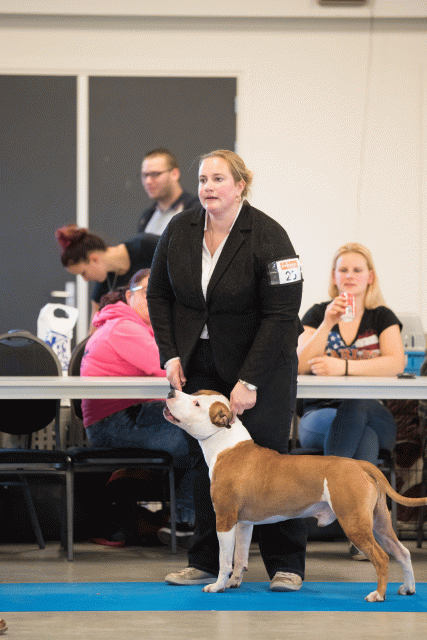 Bo4I0488 31227353151 O