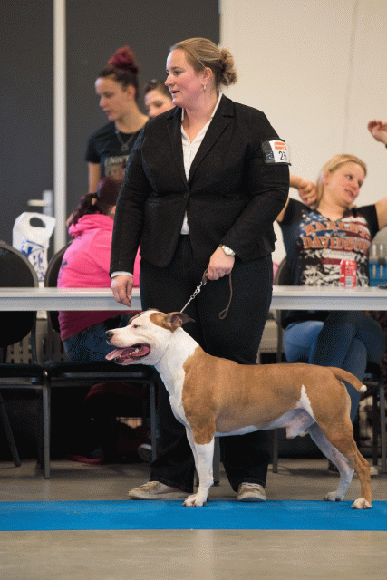 Bo4I0489 31306139356 O