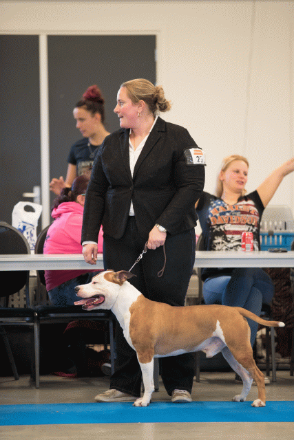 Bo4I0490 31227352721 O