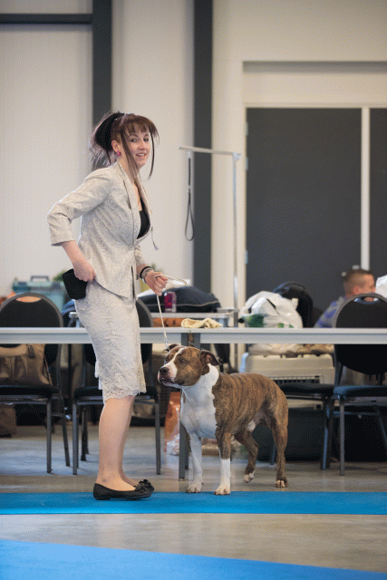 Bo4I0491 31306139106 O