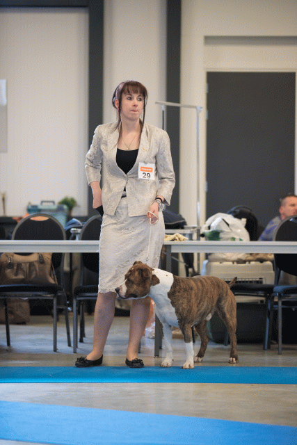 Bo4I0492 30519795024 O