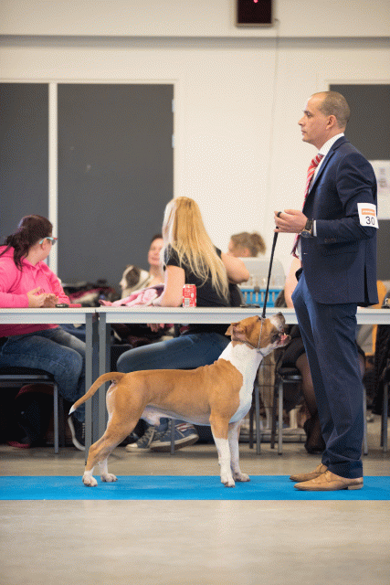 Bo4I0494 31227351791 O