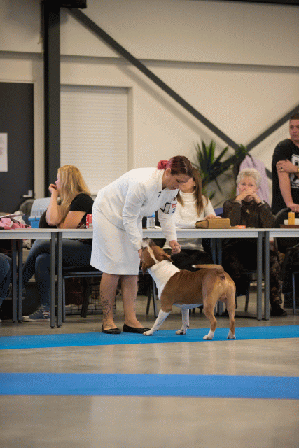 Bo4I0498 31227351311 O