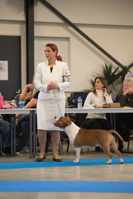 Bo4I0499 31306138176 O