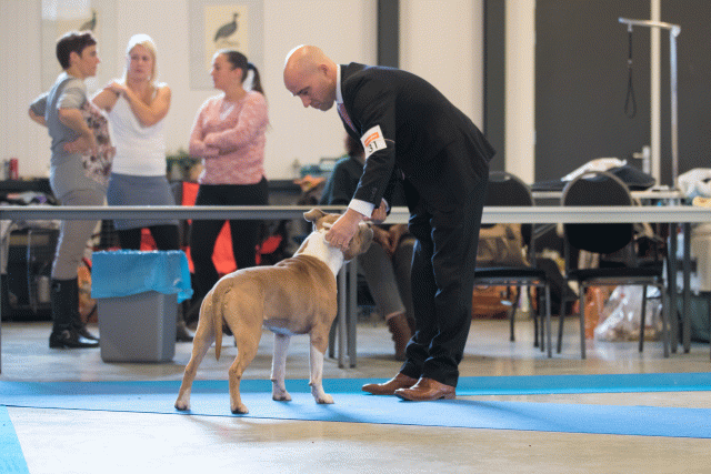 Bo4I0510 31227350851 O