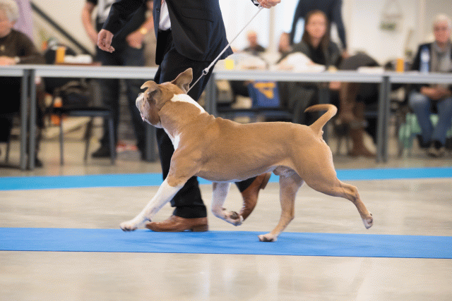 Bo4I0518 31306138006 O