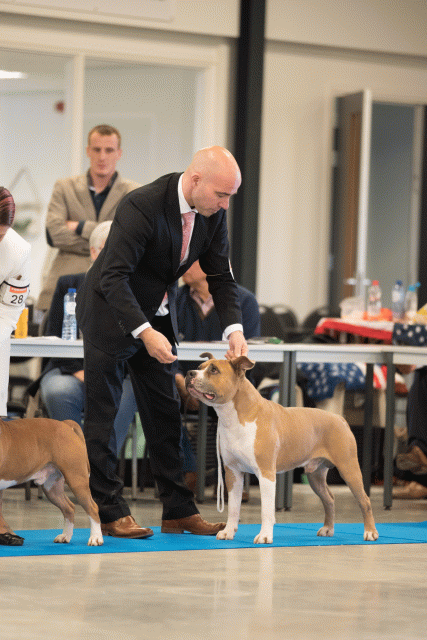 Bo4I0520 31227350551 O