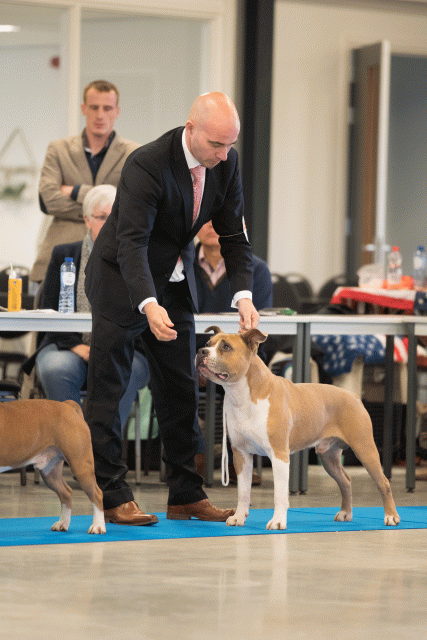 Bo4I0521 31306137726 O