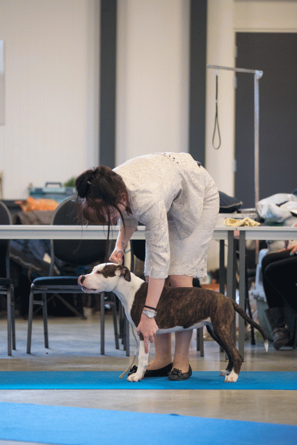 Bo4I0523 31227350001 O