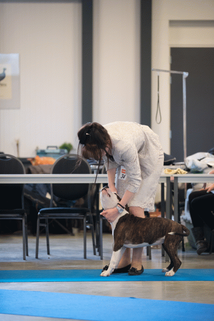 Bo4I0524 31227349671 O