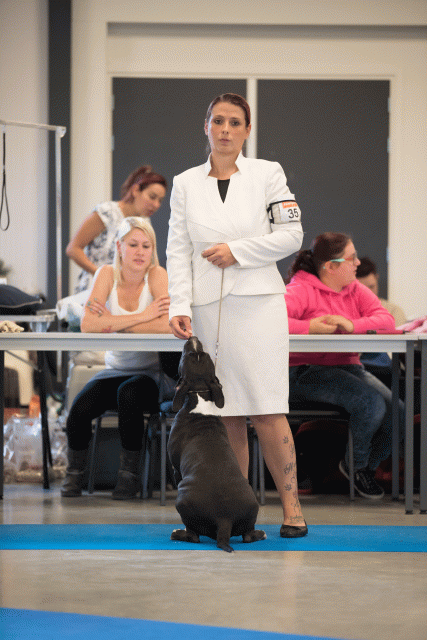 Bo4I0525 31342269585 O