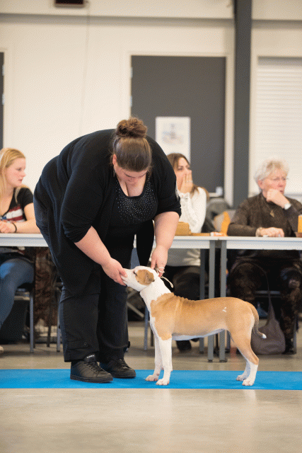 Bo4I0527 30973192800 O