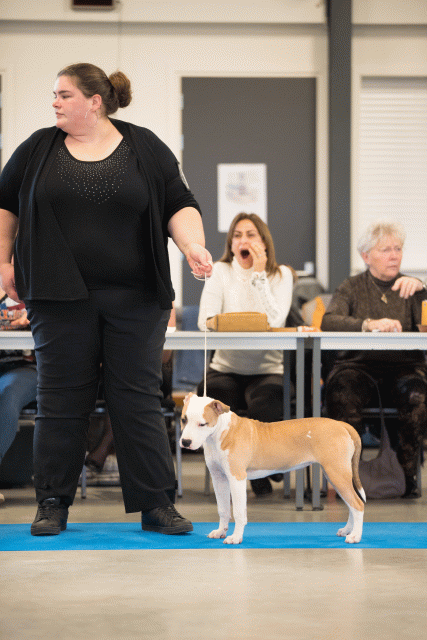 Bo4I0528 31227347811 O