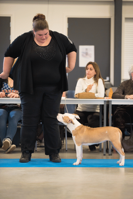 Bo4I0529 30973190560 O