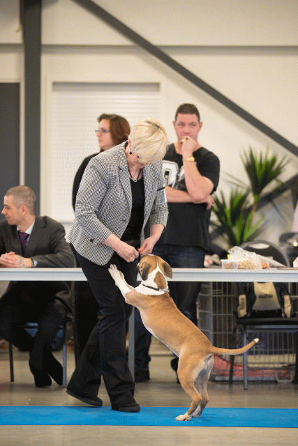 Bo4I0531 30973189990 O