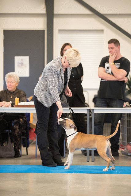 Bo4I0532 31227346031 O