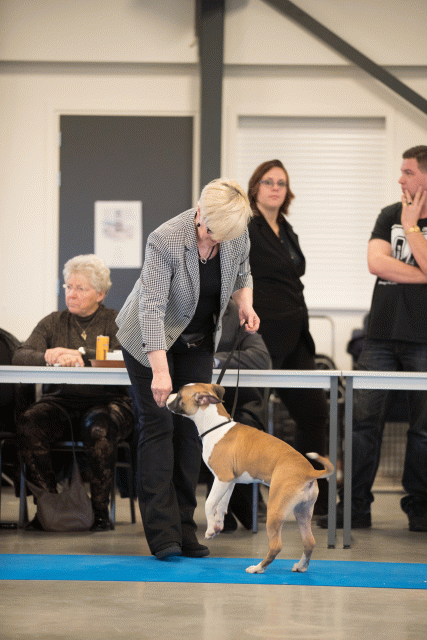 Bo4I0533 30973189260 O