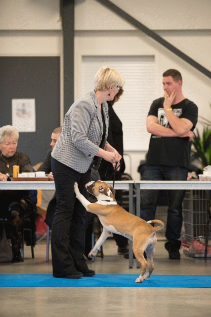 Bo4I0534 30519788174 O