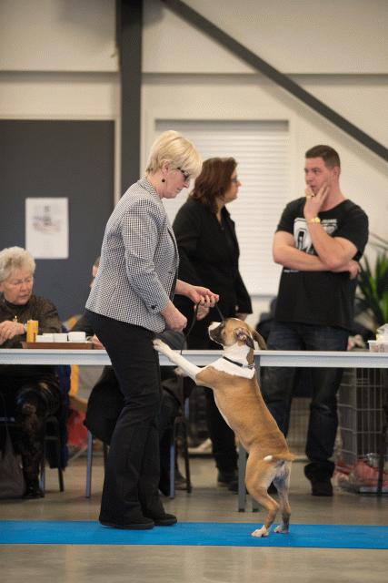 Bo4I0535 30973188660 O