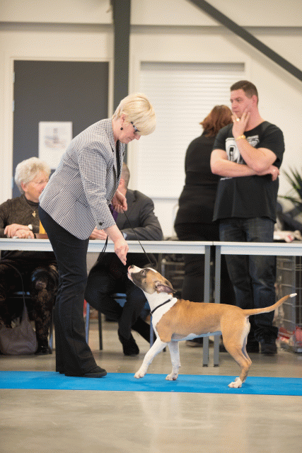 Bo4I0536 31198115182 O