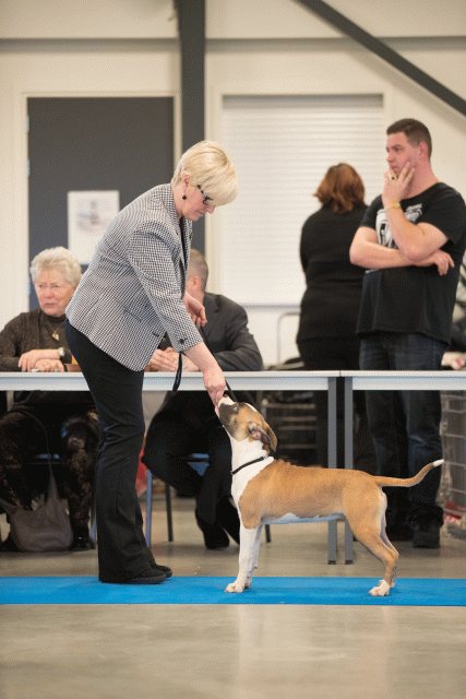 Bo4I0537 31227345351 O