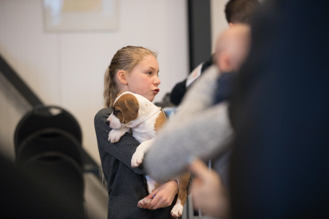 Bo4I0538 31198114662 O