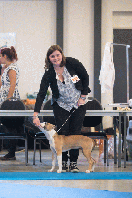 Bo4I0539 30519787054 O