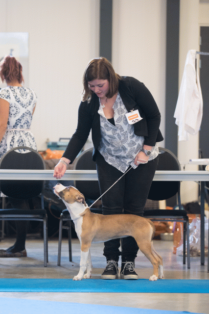 Bo4I0540 31198114352 O