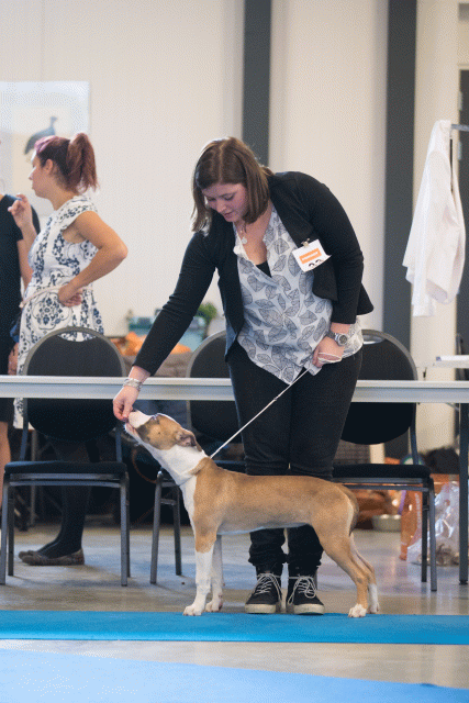 Bo4I0541 30519785084 O