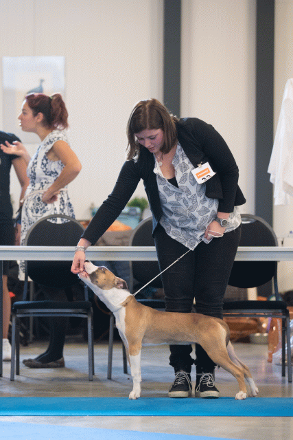 Bo4I0542 31227343391 O