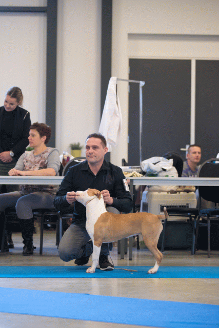 Bo4I0543 30519784584 O