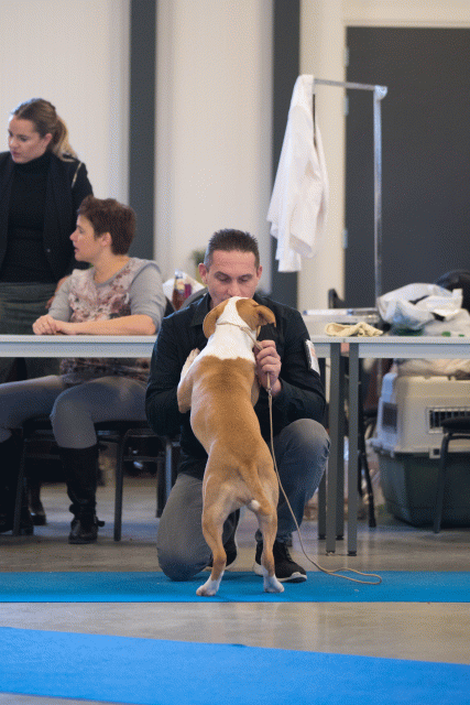 Bo4I0544 31198113622 O