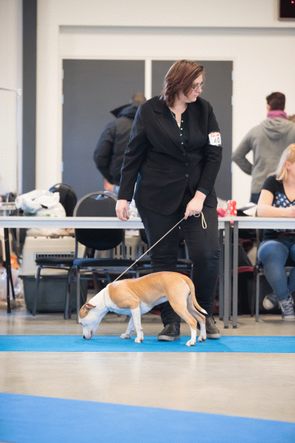 Bo4I0545 31198113712 O