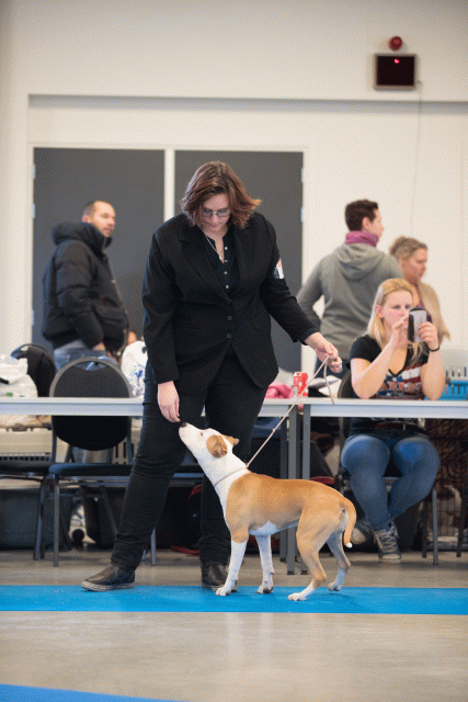 Bo4I0546 30519783434 O