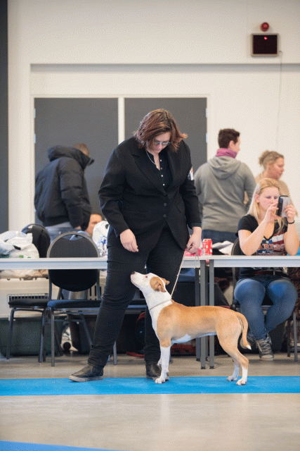 Bo4I0547 31306131476 O