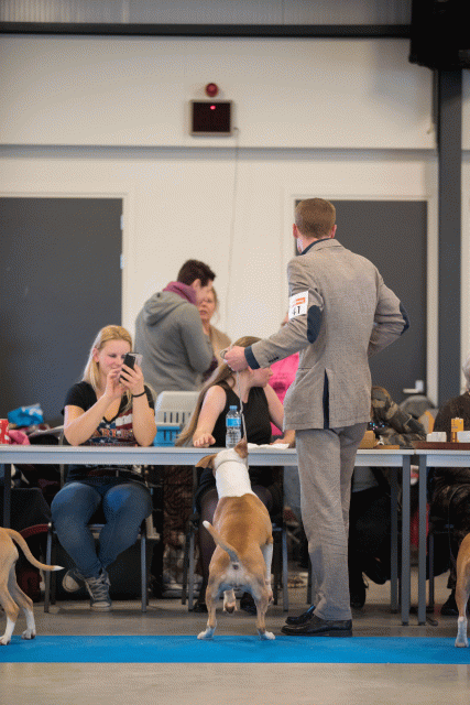 Bo4I0548 30519782904 O