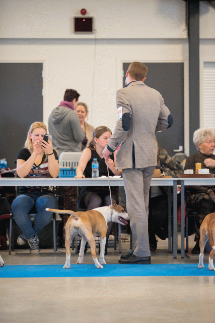 Bo4I0549 31306131026 O