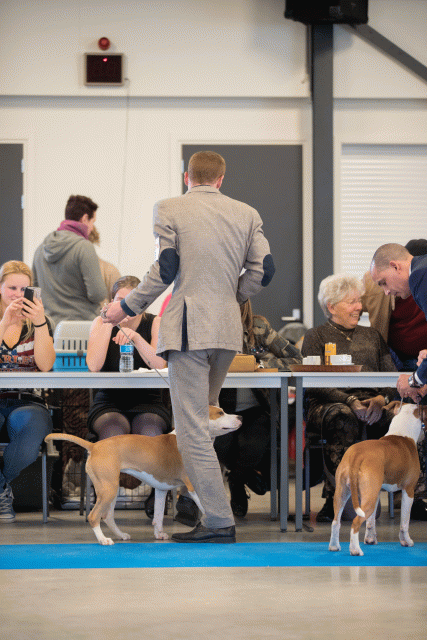 Bo4I0550 30519782584 O