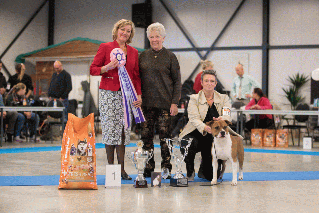 Bo4I0744 31342147645 O