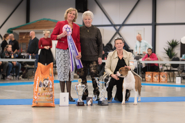 Bo4I0742 30534451173 O