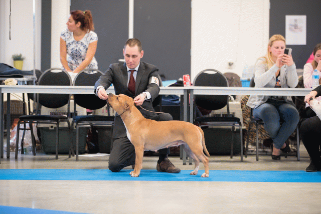 Bo4I0630 30973078260 O