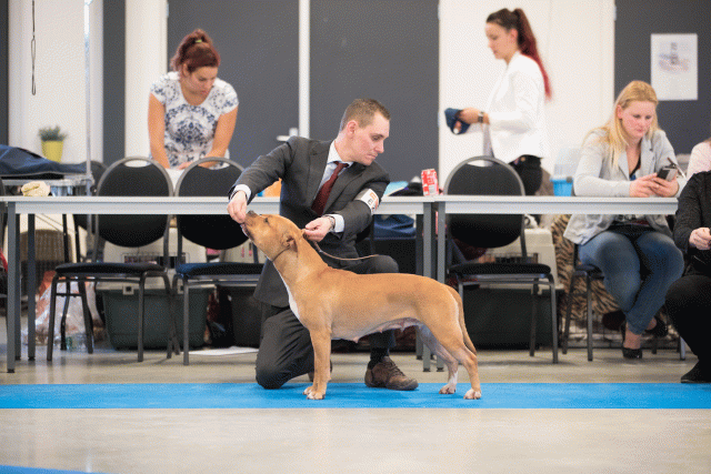 Bo4I0631 30973078040 O