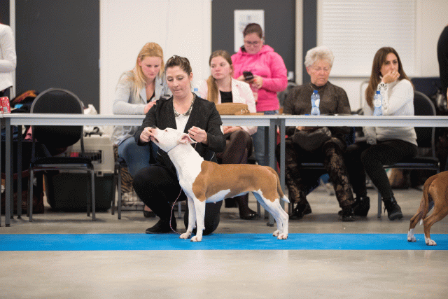 Bo4I0632 30973077810 O