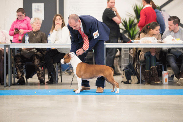 Bo4I0634 30973077360 O